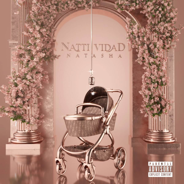 Imagen, foto o portada de Arrebatá de Natti Natasha (Letra, Música)