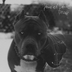 Imagen, foto o portada de Perro Es Perro de Pitizion (Canción, 2022)