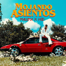 Imagen, foto o portada de Mojando Asientos (feat. Feid) de Maluma, Feid (Canción, 2022)