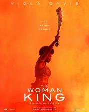 Imagen, foto o portada de The Woman King o La Mujer Rey (Película, 2022, Viola Davis)