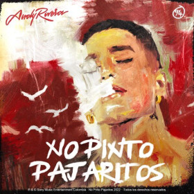 Imagen, foto o portada de No Pinto Pajaritos de Andy Rivera (Canción, 2023)