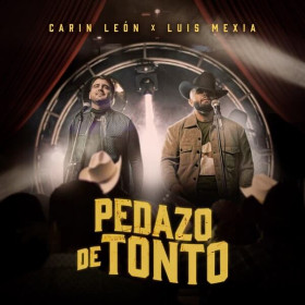 Imagen, foto o portada de Pedazo de Tonto de Carin Leon, Luis Mexia (Canción, 2023)